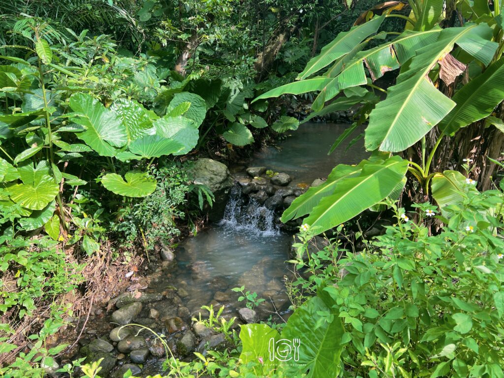 台北|台北大縱走第七段,帶你從富陽生態公園走到指南宮和貓空一日遊 台北大縱走第七段|富陽生態公園