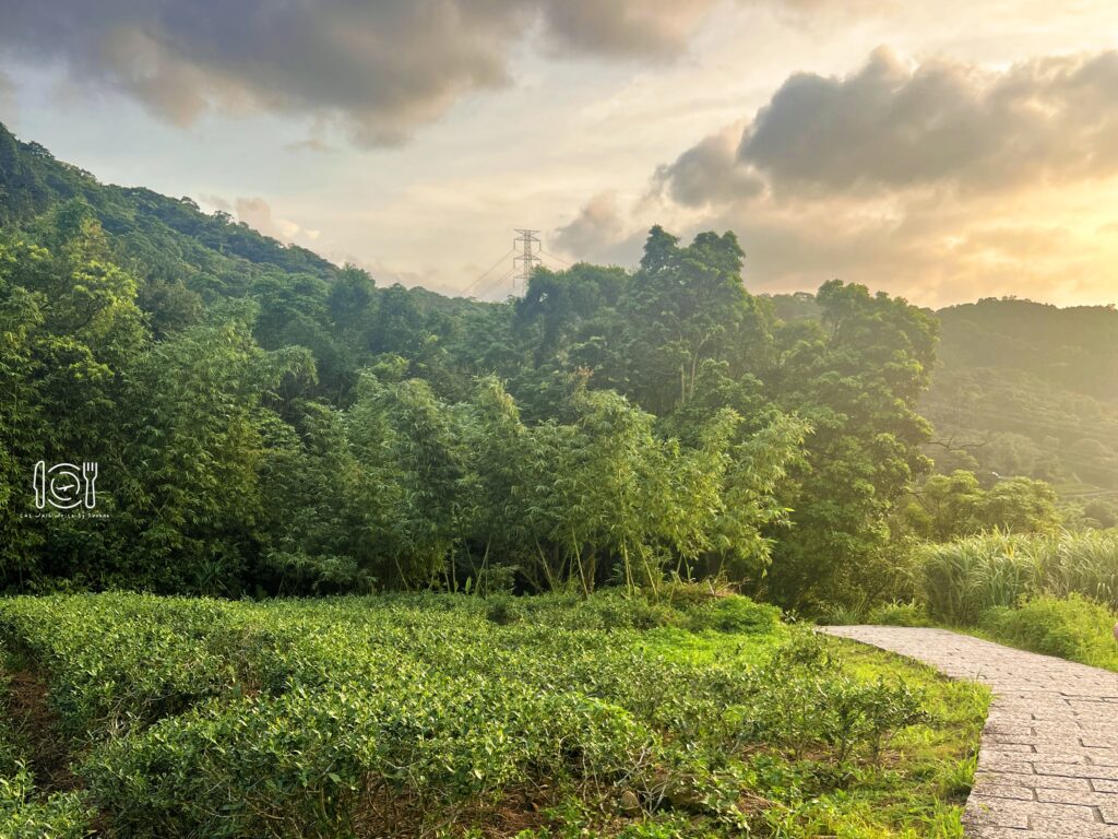 台北|台北大縱走第七段,帶你從富陽生態公園走到指南宮和貓空一日遊 台北大縱走第七段|