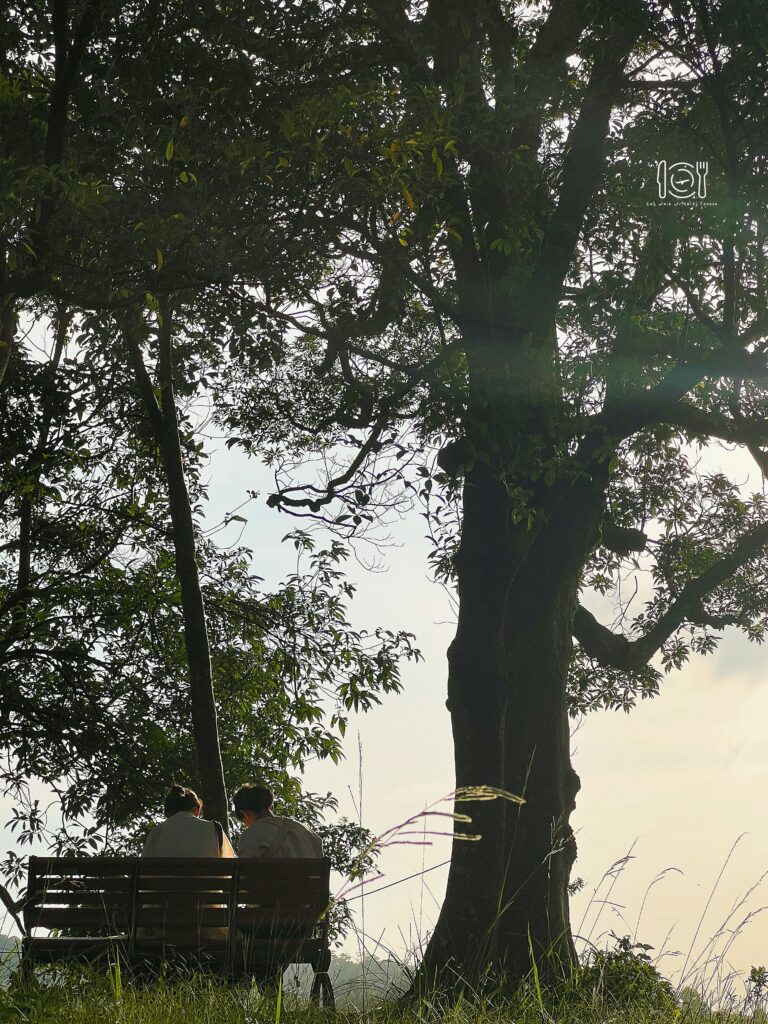 台北|台北大縱走第七段,帶你從富陽生態公園走到指南宮和貓空一日遊 台北大縱走第七段|貓空
