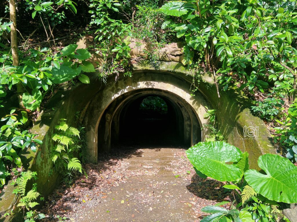 台北|台北大縱走第七段,帶你從富陽生態公園走到指南宮和貓空一日遊 台北大縱走第七段|富陽生態公園