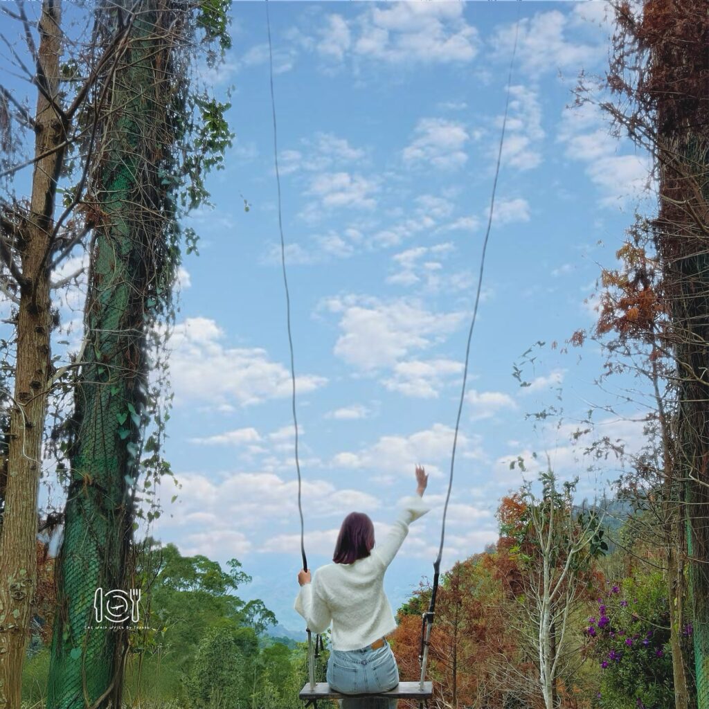 哈比丘茶樹森林