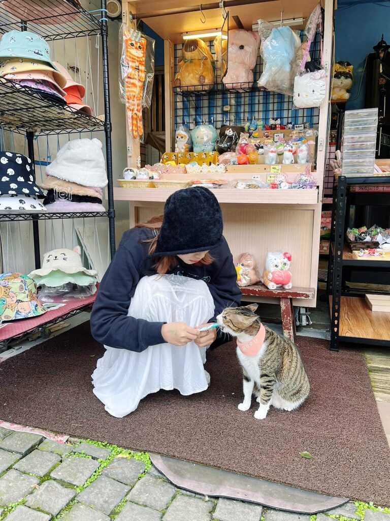新北|瑞芳區山海線一日遊!這次不玩九份,帶你走訪台版神隱少女隧道 猴硐貓村餵貓咪