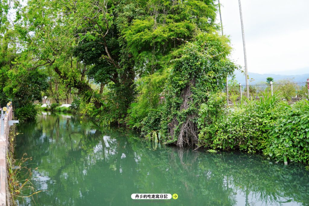 宜蘭|北后寺參訪體驗:日式禪院庭院氛圍感十足,秋冬還有超美落羽松步道