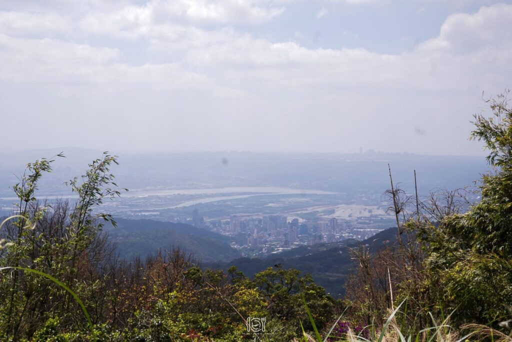 台北｜山上聊交通、訂位及菜單攻略，開箱陽明山最美秘境咖啡廳