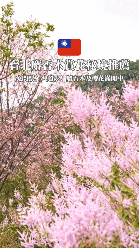 台北|賞花秘境!台北就能看麝香木, 一旁還有浪漫櫻花雨可看