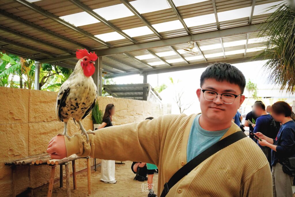 宜蘭｜礁溪親子農場推薦！回巢農場：小羊、天竺鼠還有會握手水豚