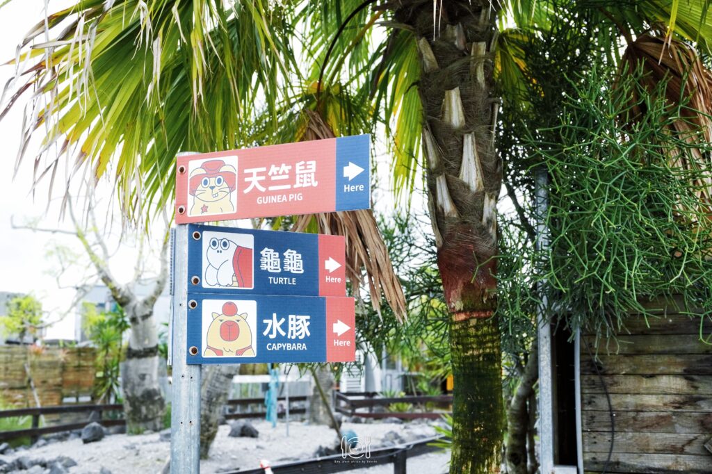 宜蘭｜礁溪親子農場推薦！回巢農場：小羊、天竺鼠還有會握手水豚