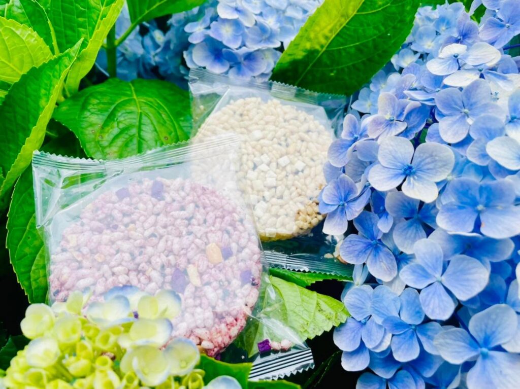 萬里高家繡球花田